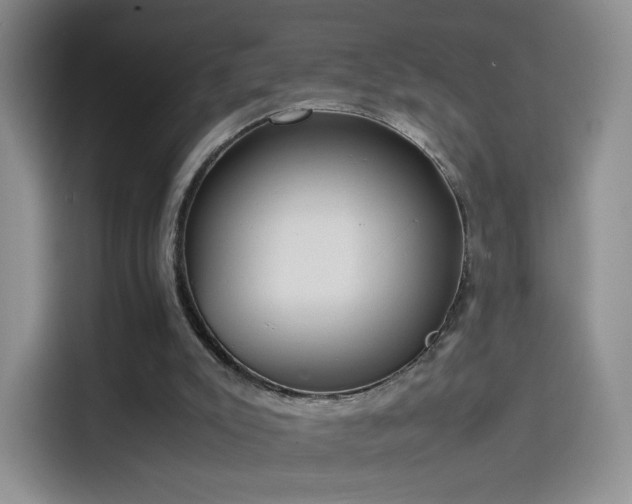 X0000114110007200910131352