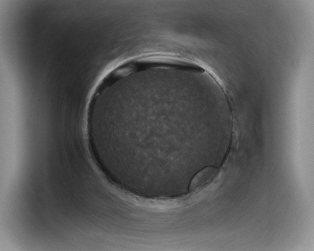 X0000114110008200910131352