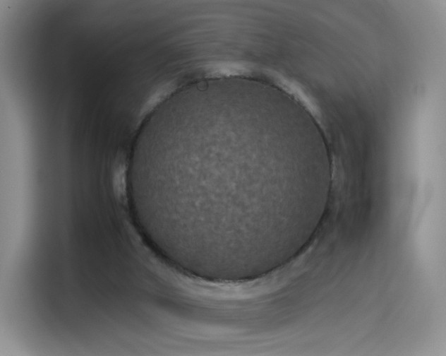 X0000114110010200910131352