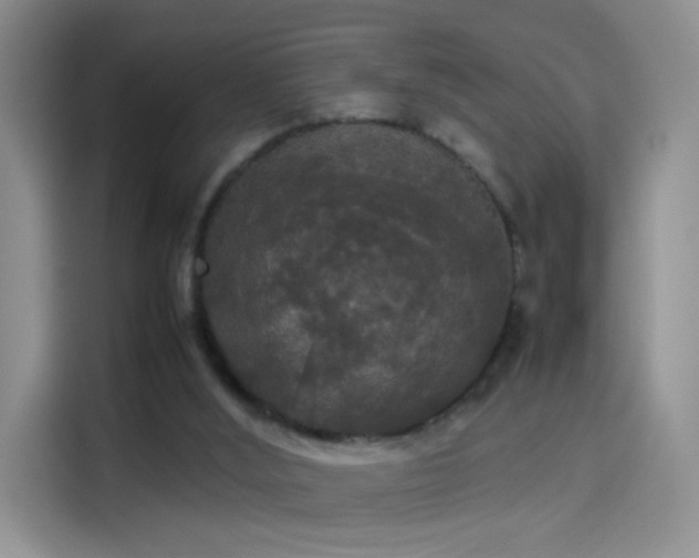 X0000114110012200910131352