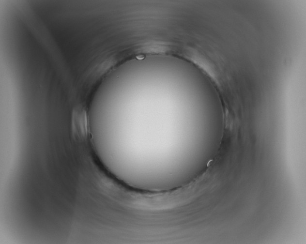 X0000114110013200910131352