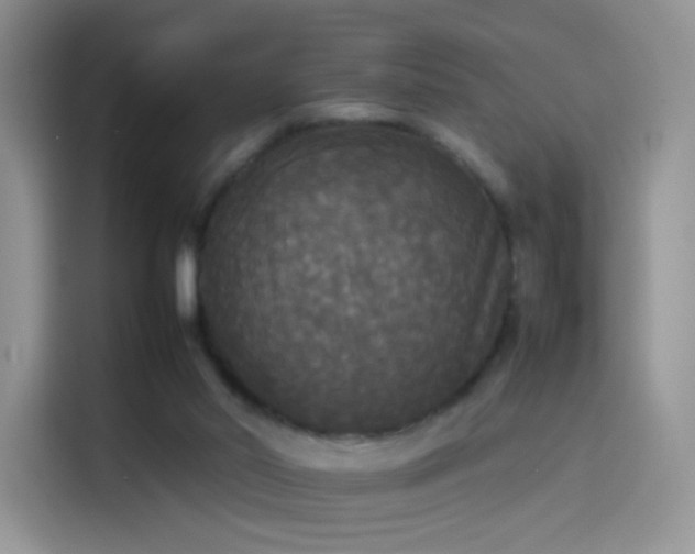 X0000114110014200910131352