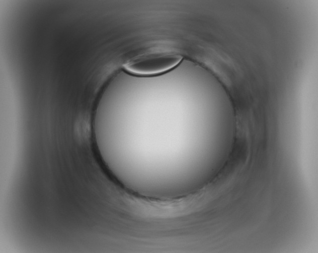 X0000114110015200910131352