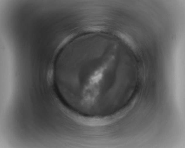 X0000114110016200910131352