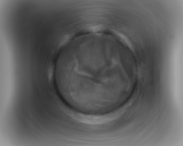 X0000114110018200910131352