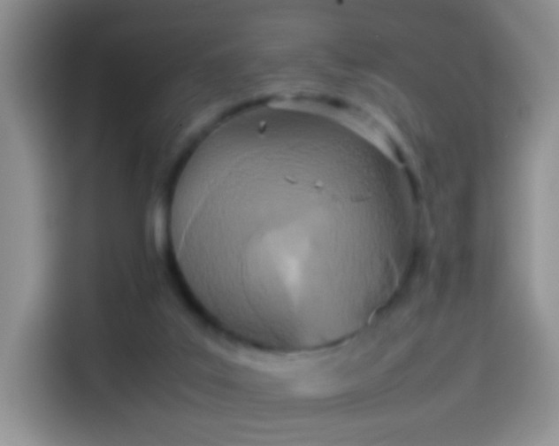 X0000114110019200910131352