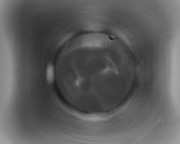 X0000114110020200910131352