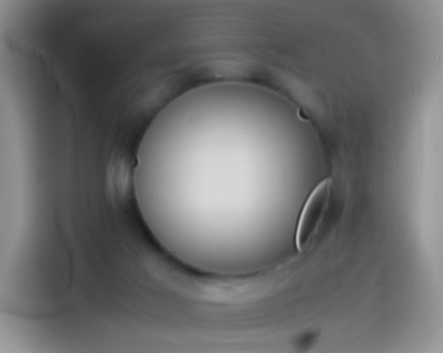 X0000114110021200910131352