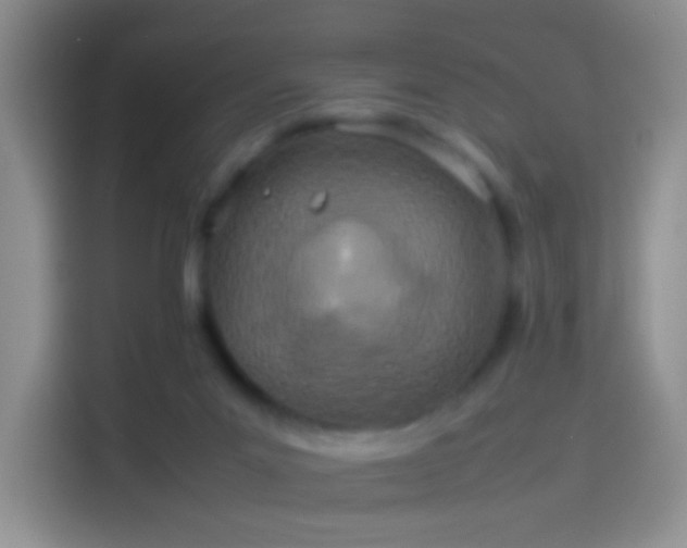 X0000114110023200910131352