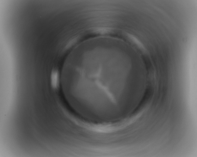 X0000114110024200910131352