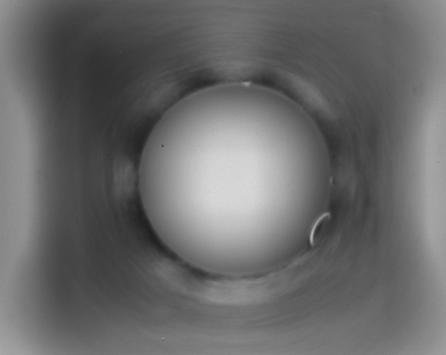 X0000114110025200910131352