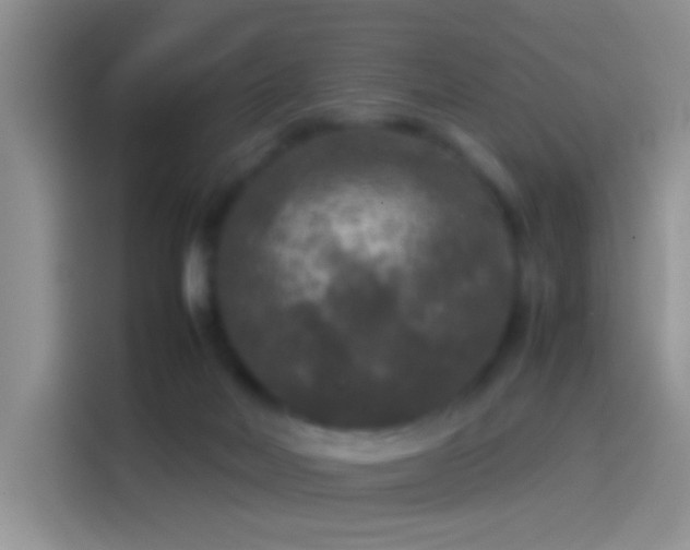 X0000114110026200910131352