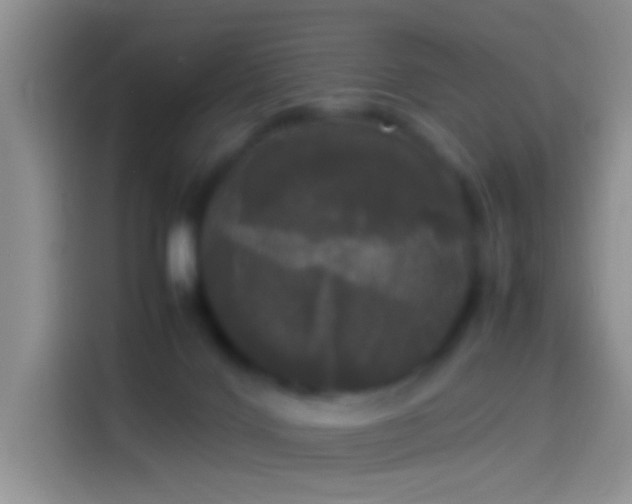 X0000114110028200910131352