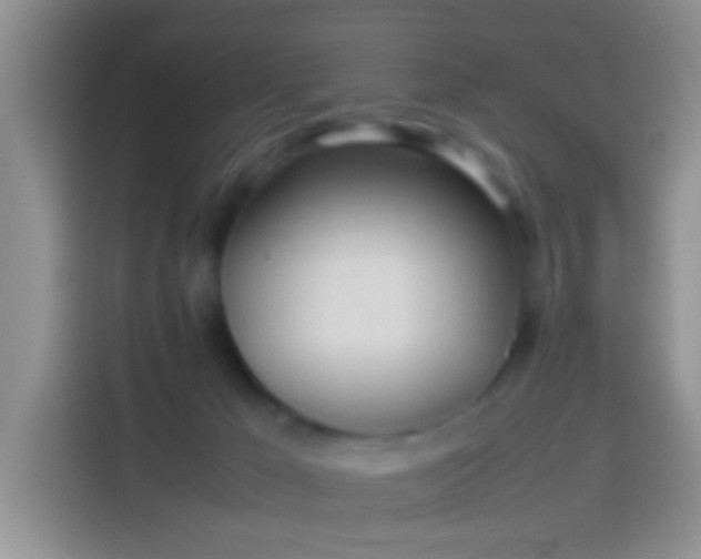 X0000114110029200910131352