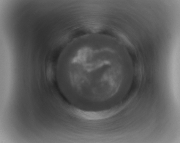 X0000114110030200910131352