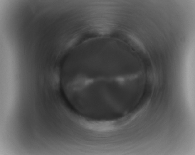 X0000114110032200910131352