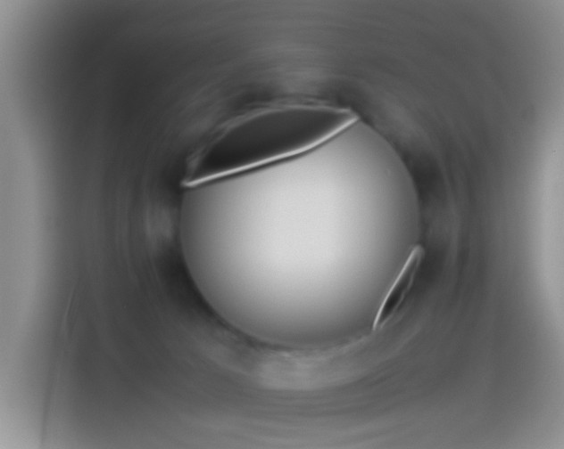 X0000114110033200910131352