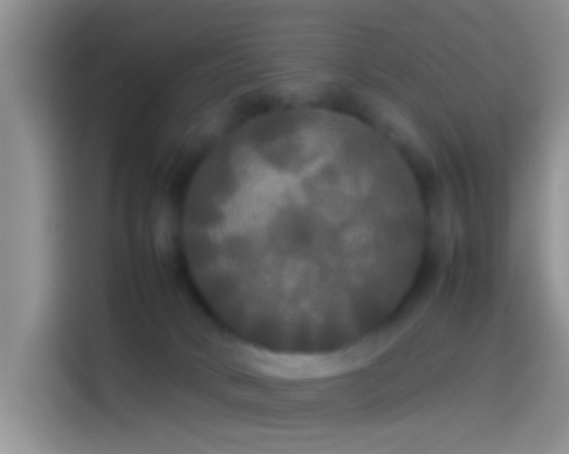 X0000114110034200910131352