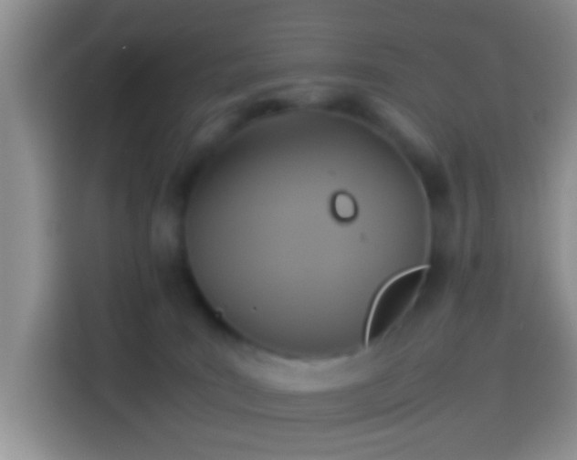 X0000114110035200910131352