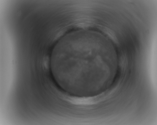 X0000114110036200910131352