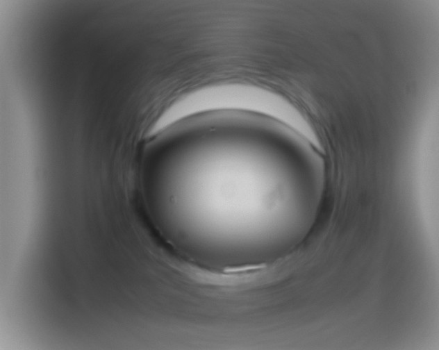 X0000114110039200910131351