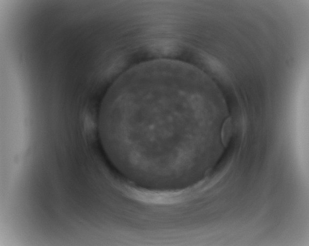 X0000114110040200910131351