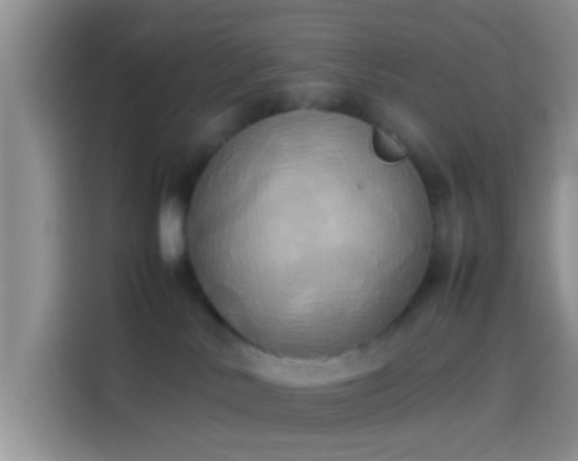 X0000114110042200910131351