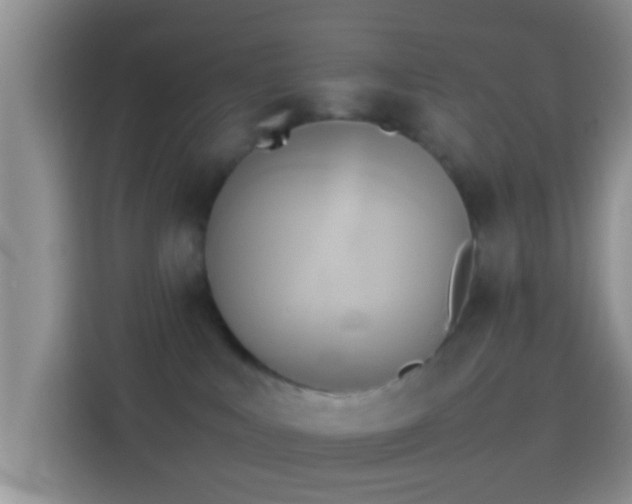 X0000114110043200910131351