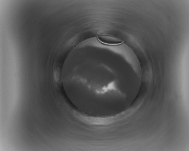 X0000114110044200910131351