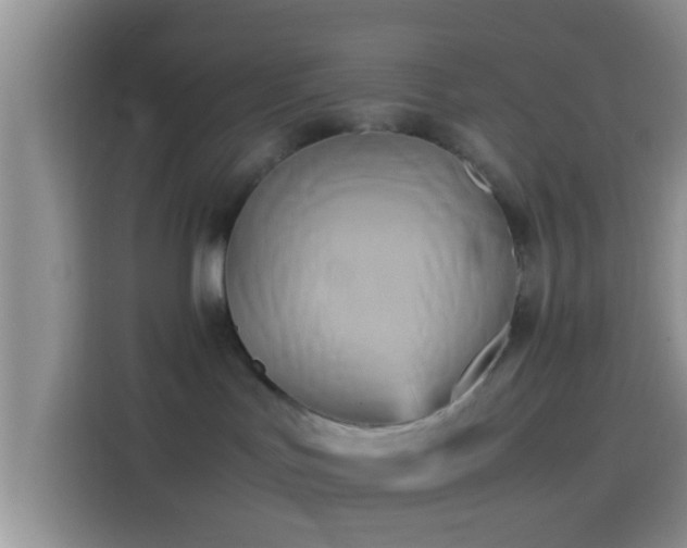 X0000114110047200910131351