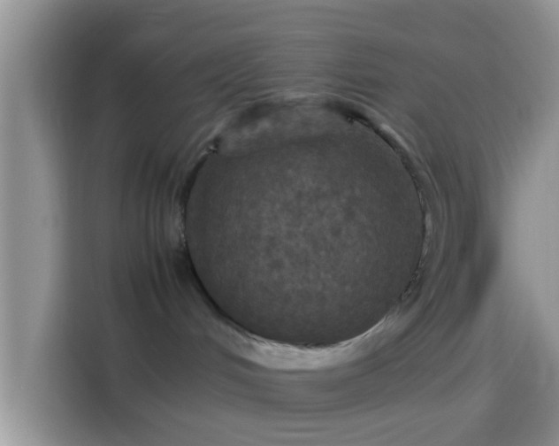 X0000114110048200910131351