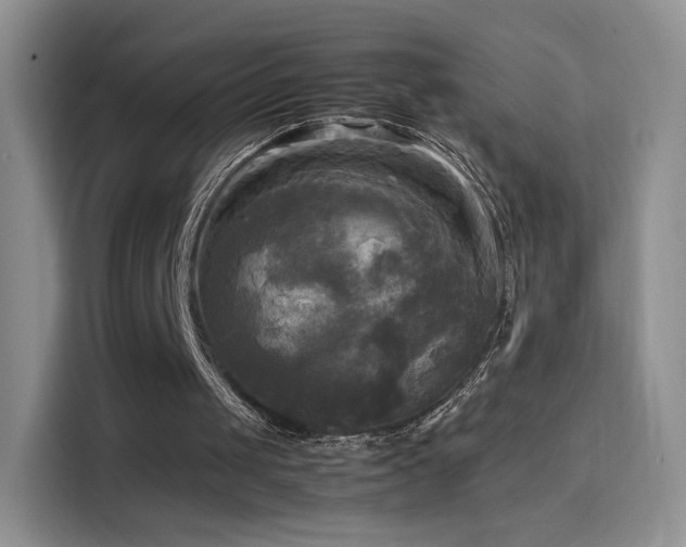 X0000114110049200910131351