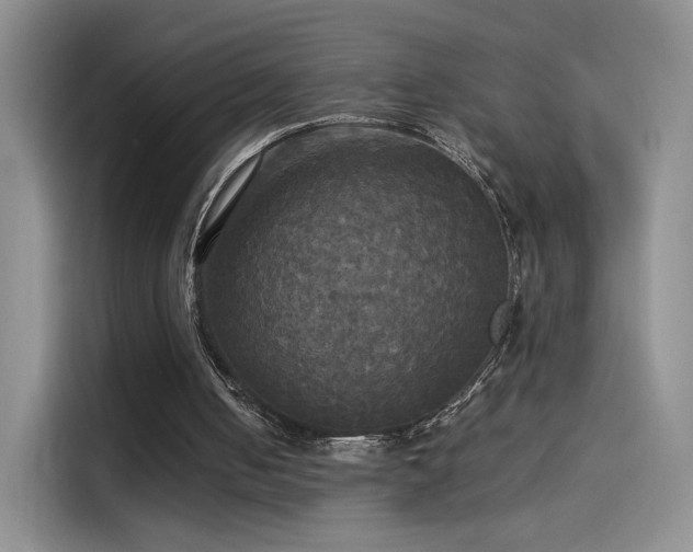 X0000114110050200910131351