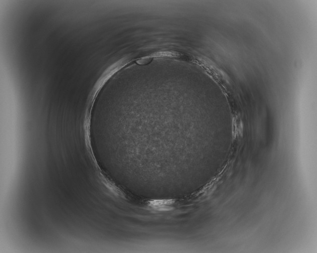 X0000114110051200910131351