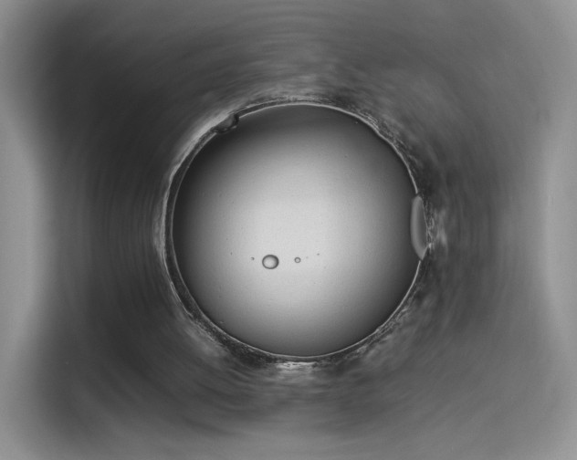 X0000114110052200910131351