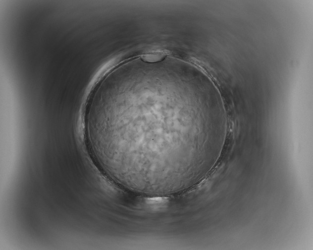 X0000114110053200910131351