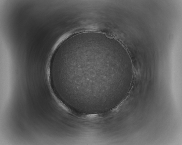 X0000114110054200910131351