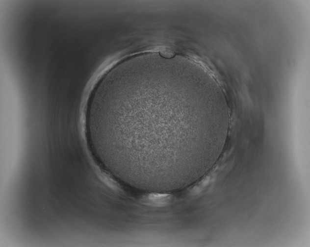 X0000114110055200910131351