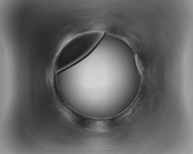 X0000114110056200910131351