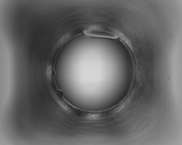 X0000114110057200910131351