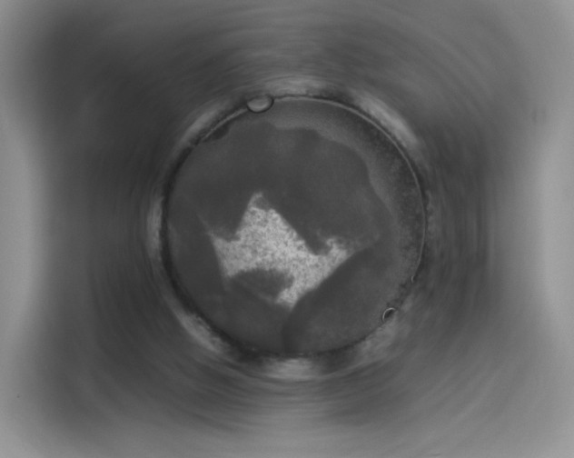 X0000114110058200910131351