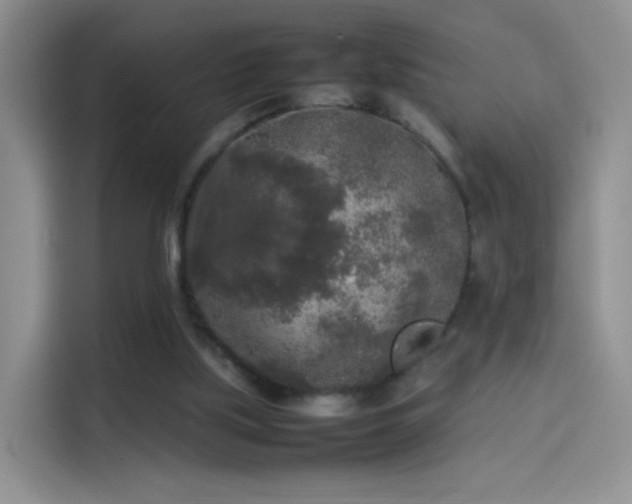 X0000114110059200910131351