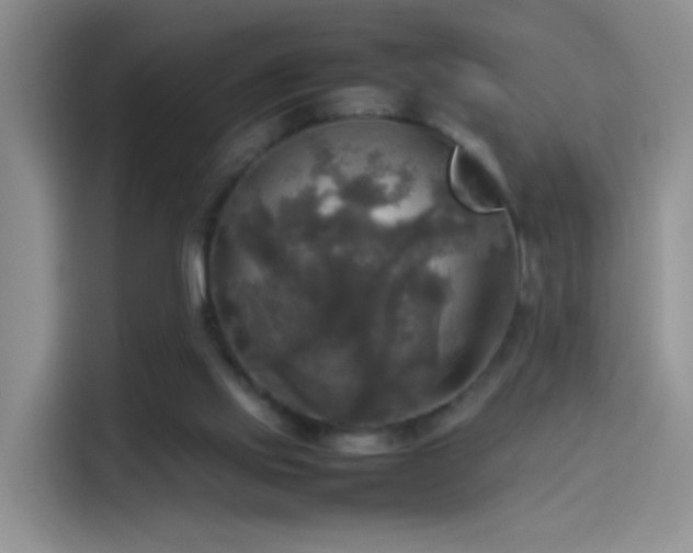 X0000114110061200910131351