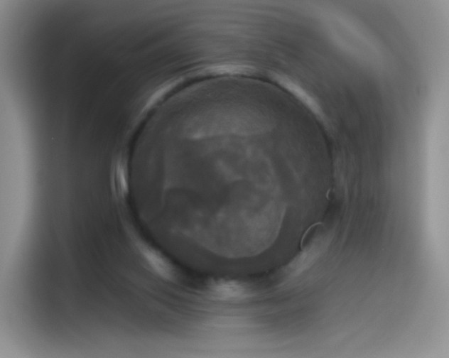 X0000114110062200910131351