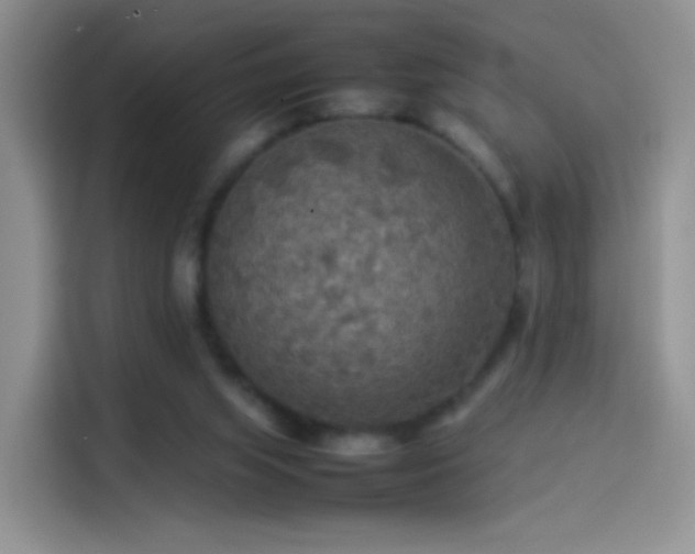 X0000114110063200910131351