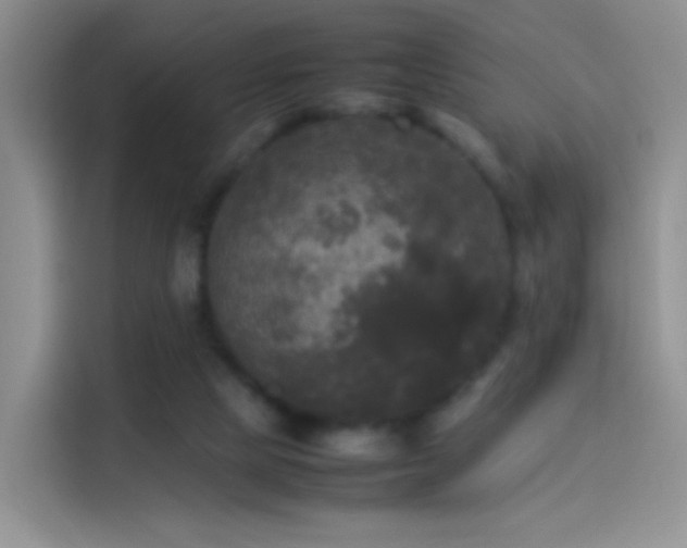 X0000114110065200910131351