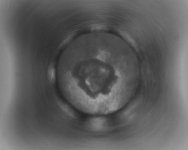 X0000114110067200910131351