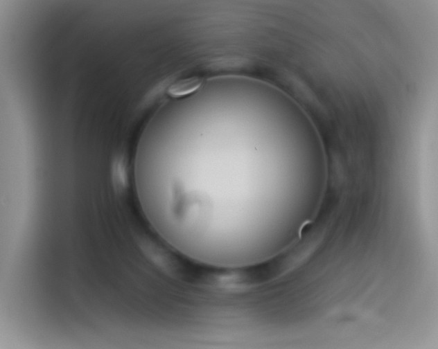 X0000114110068200910131351