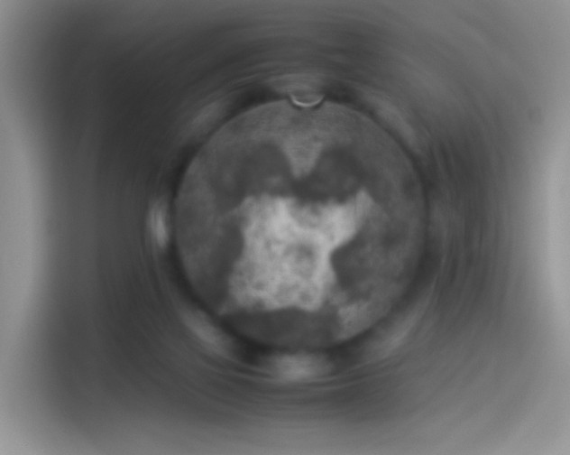 X0000114110069200910131351