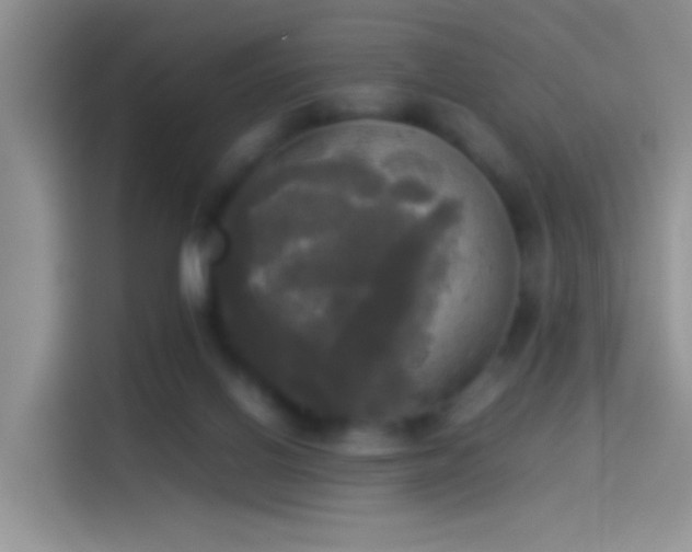 X0000114110070200910131351